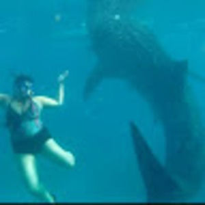 Meet your Posher, Jess